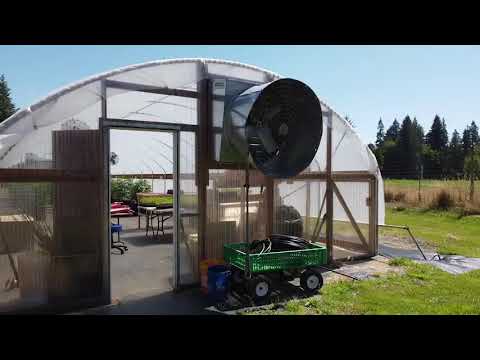 Video 9