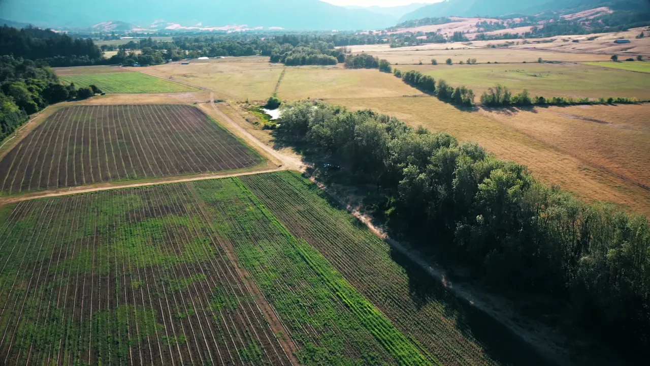 Video 7