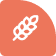 Improved Yield & Productivity