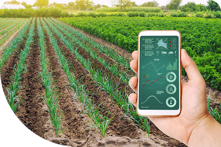 Crop Health Monitoring & Analysis