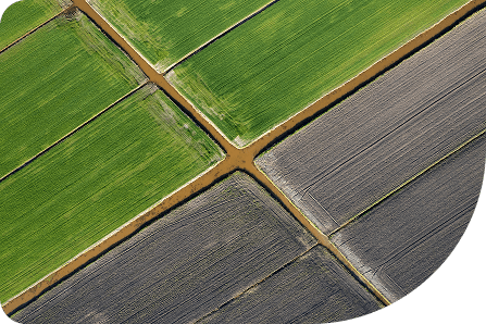 Field Variability Analysis