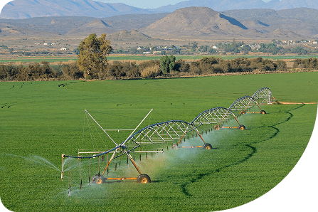 Irrigation Planning & Optimization
