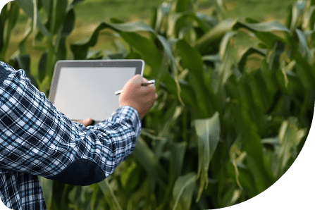 Seasonal Crop Performance Tracking
