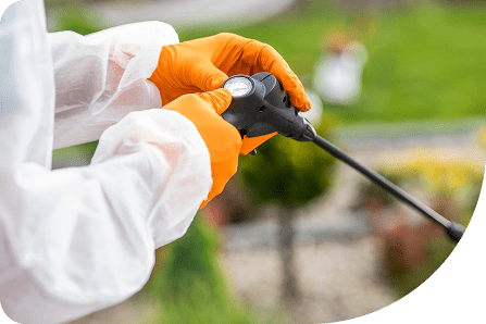 Weed & Pest Detection